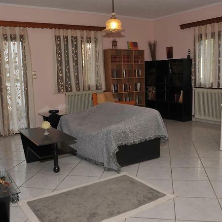 Eagle'S Family Apartment Kalampaka ภายนอก รูปภาพ
