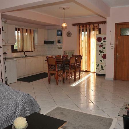 Eagle'S Family Apartment Kalampaka ภายนอก รูปภาพ