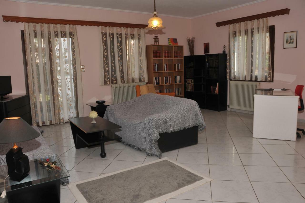 Eagle'S Family Apartment Kalampaka ภายนอก รูปภาพ