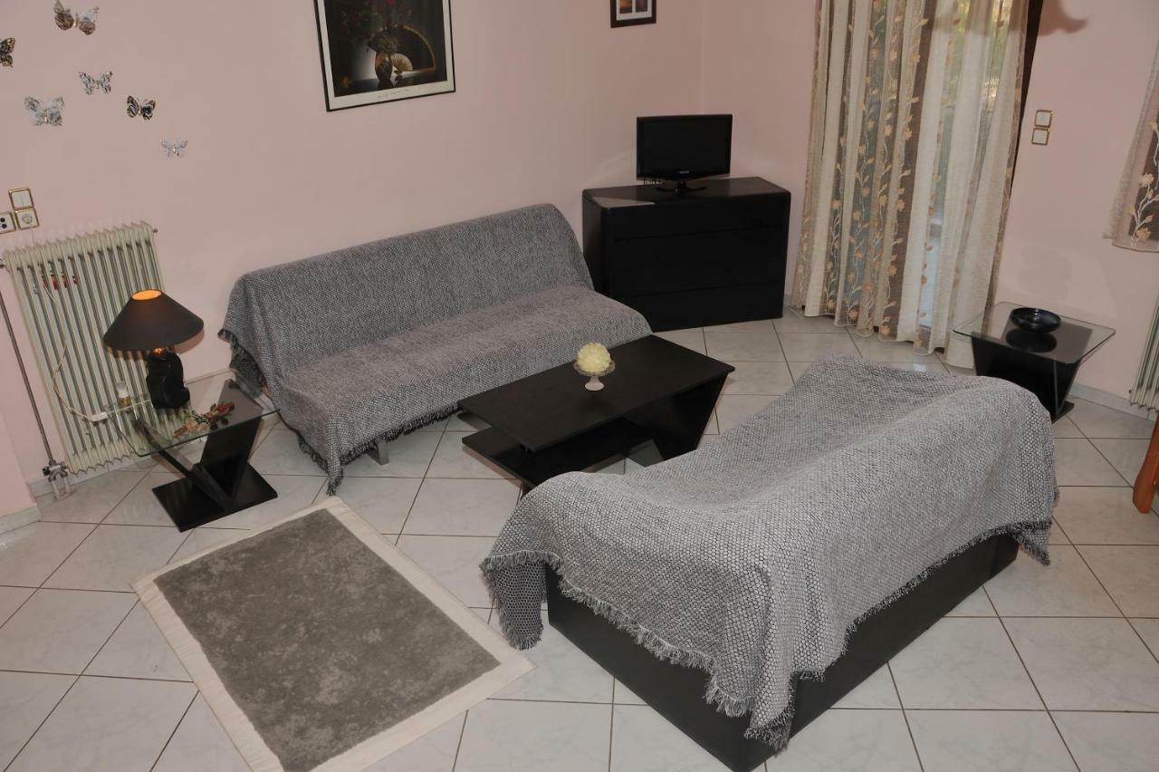 Eagle'S Family Apartment Kalampaka ภายนอก รูปภาพ